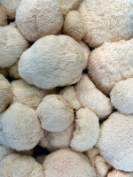 Lion's Mane Mushrooms