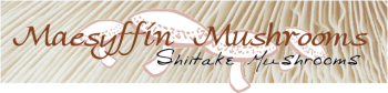 Maesyffin Mushrooms - former Mushroom Grower